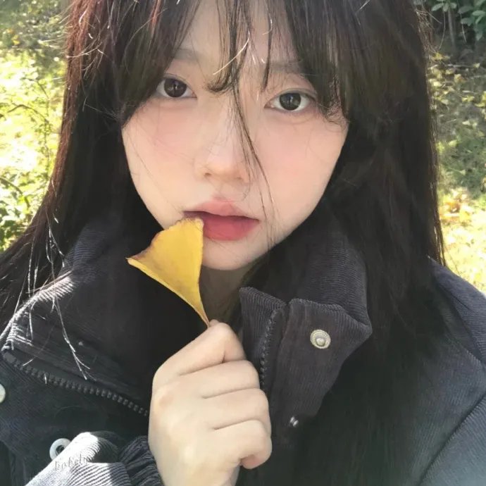 莫斯科郊外的晚上